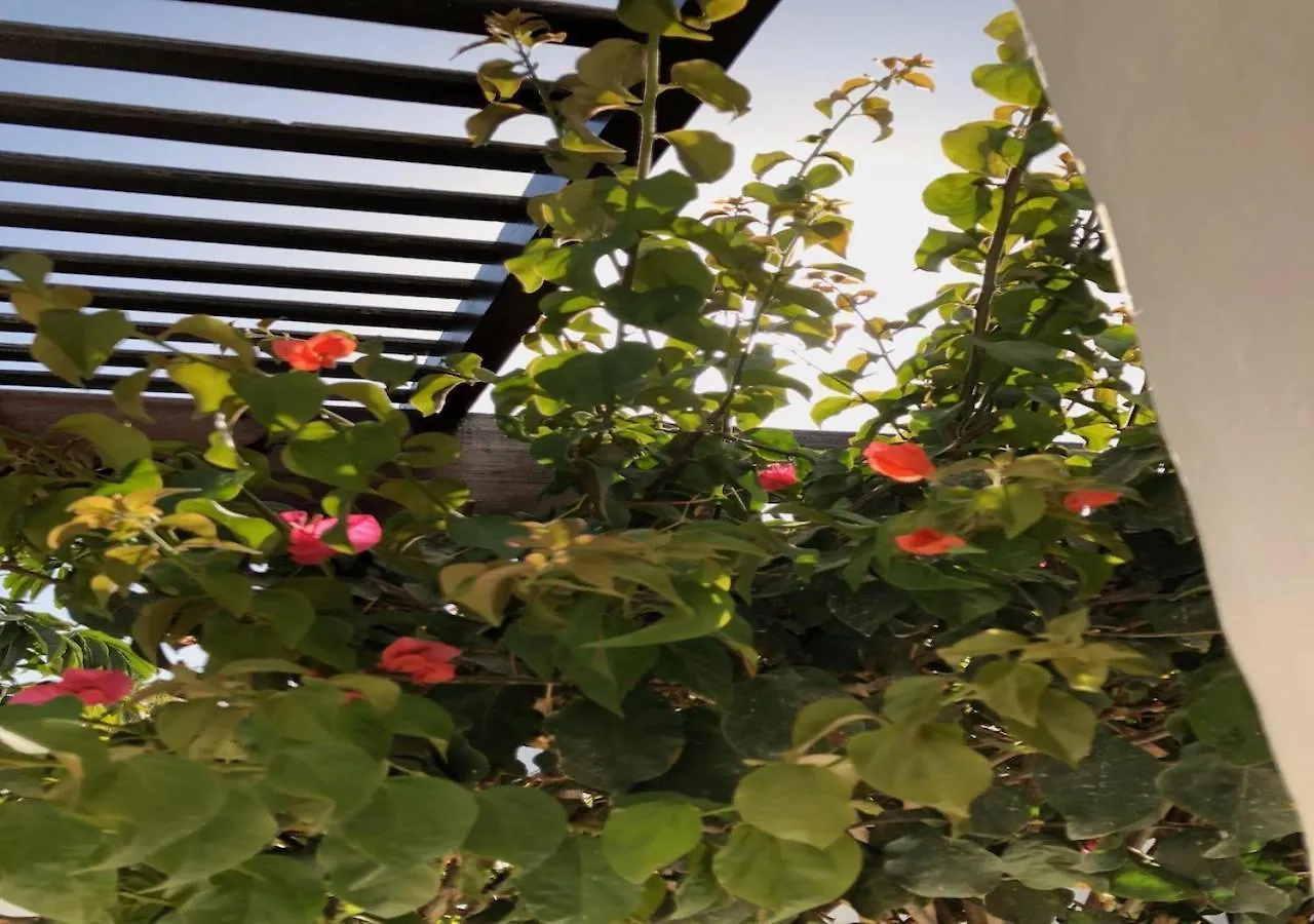 Villa Mare Bella Chao Sea View Private Heated Solar Pool Ac 卡门港 0*,  西班牙