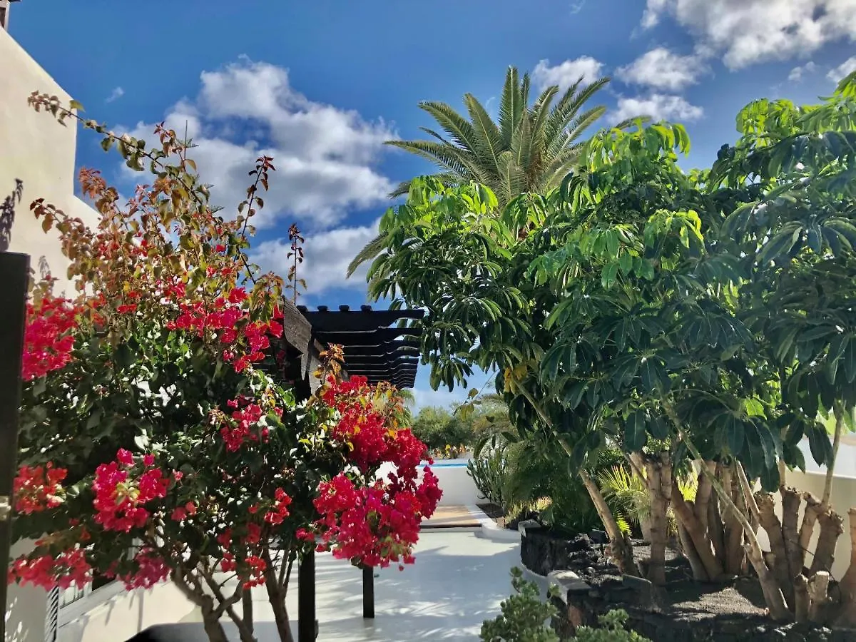 Villa Mare Bella Chao Sea View Private Heated Solar Pool Ac 卡门港