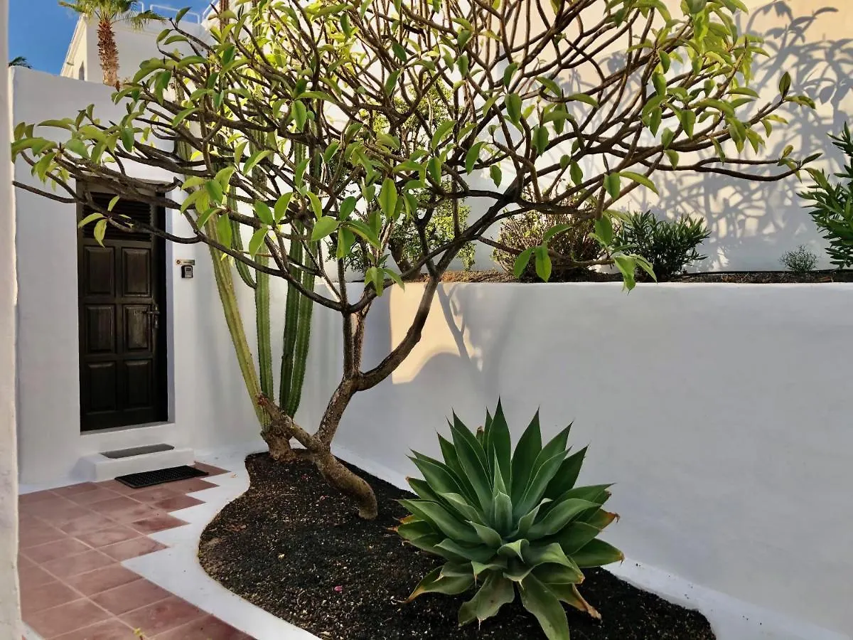 Villa Mare Bella Chao Sea View Private Heated Solar Pool Ac Пуэрто дель Кармен